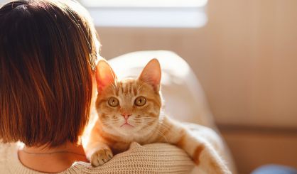 New iCatCare course addresses feline wellbeing