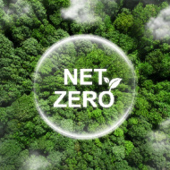 Guide to help vet workplaces achieve net zero published