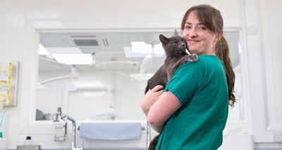 Most new vet nurses positive about their training