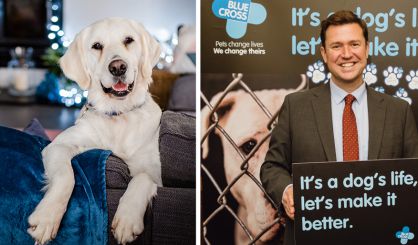 Blue Cross hosts dog welfare event at Parliament