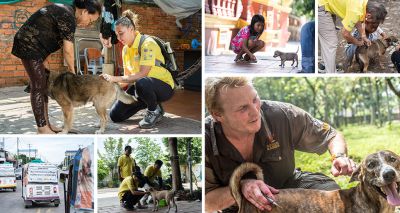 WVS leads Asia's largest rabies drive