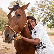 Brooke shares year's success of working-equine advocacy