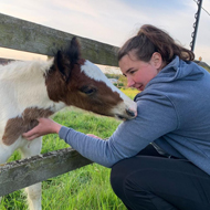 World Horse Welfare marks Groom Appreciation Day