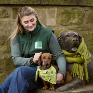 Edinburgh Dog and Cat Home makes final appeal for winter support