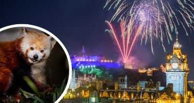 Edinburgh Zoo makes Hogmanay fireworks appeal