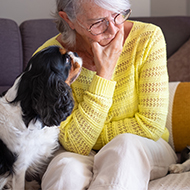 Dogs Trust appeals for pet rights in social housing