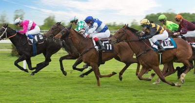 Study uncovers genes contributing to Thoroughbred fractures