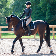 British Equestrian unveils sustainability strategy