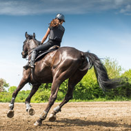 Saddle Research Trust confirms 2018 conference