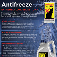 ICatCare produces free antifreeze poster 