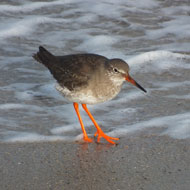 Scheme to protect wildlife and reduce flooding